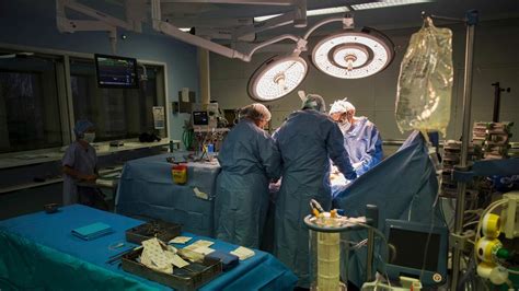 neyleen ashley|largest legal breast implant.